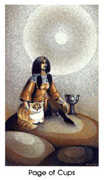 Page of Cups Tarot card in Cat People deck