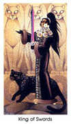 King of Swords Tarot card in Cat People deck