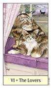 The Lovers Tarot card in Cat's Eye deck