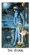 The Star Tarot card in Cosmic deck