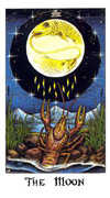 The Moon Tarot card in Cosmic deck