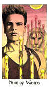 Nine of Wands Tarot card in Cosmic deck