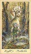 Eight of Coins Tarot card in Ghosts & Spirits deck