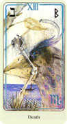 Death Tarot card in Haindl deck