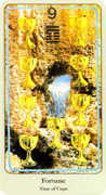 Nine of Cups Tarot card in Haindl deck