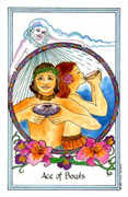 Ace of Bowls Tarot card in Medicine Woman deck