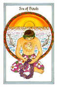 Six of Bowls Tarot card in Medicine Woman deck
