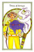 Three of Arrows Tarot card in Medicine Woman deck