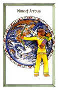 Nine of Arrows Tarot card in Medicine Woman deck