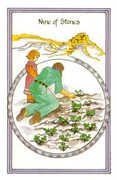 Nine of Stones Tarot card in Medicine Woman deck