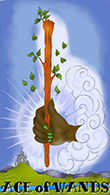 Ace of Wands Tarot card in Melanated Classic Tarot deck