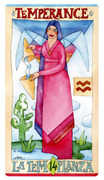 Temperance Tarot card in Napo Tarot deck