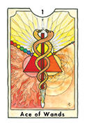 Ace of Wands Tarot card in New Chapter deck