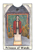 Page of Wands Tarot card in New Chapter deck