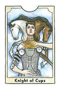 Knight of Cups Tarot card in New Chapter deck