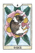 Six of Disks Tarot card in New Chapter deck