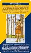 Nine of Wands Tarot card in Quick and Easy deck