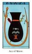 Ace of Water Tarot card in Santa Fe deck