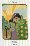 Seven of Coins Tarot card in Vanessa deck