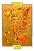 Nine of Wands Tarot card in Winged Spirit Tarot deck